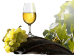 Скачать PNG картинку на прозрачном фоне Светлое вино в бокале, виноград, бочка