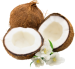Скачать PNG картинку на прозрачном фоне Целый кокос, две половины кокоса, цветы
