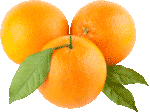 Скачать PNG картинку на прозрачном фоне Три апельсина с листьями