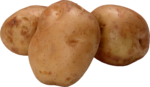 Скачать PNG картинку на прозрачном фоне Три картошки, картофель