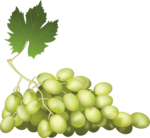 Скачать PNG картинку на прозрачном фоне Виноград нарисоованный, белый, лежит, с листом