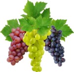 Скачать PNG картинку на прозрачном фоне Виноград с листьями, белый, красный и синий