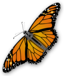 Скачать PNG картинку на прозрачном фоне бабочка летит влево, оранжево-черная