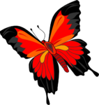 Скачать PNG картинку на прозрачном фоне бабочка нарисованная, вид сверху, оранжево-черная
