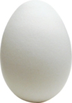 Скачать PNG картинку на прозрачном фоне Белое яйцо