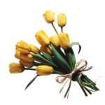 Скачать PNG картинку на прозрачном фоне Букет желтых тюльпанов перевязанных бантом