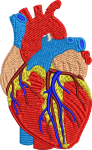 Скачать PNG картинку на прозрачном фоне Человеческое серце вышетое разноцветными нитками