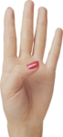 Скачать PNG картинку на прозрачном фоне Четыре женских пальца, большой прижат
