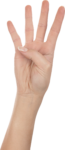 Скачать PNG картинку на прозрачном фоне Четыре женских пальца, вид снизу
