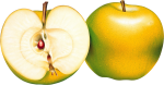 Скачать PNG картинку на прозрачном фоне Целое нарисованное яблоко с половинкой рядом