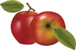 Скачать PNG картинку на прозрачном фоне Два красных нарисованных яблока с листиками