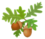 Скачать PNG картинку на прозрачном фоне Два нарисованных желудя с зелеными листьями