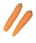 Скачать PNG картинку на прозрачном фоне Две морковки, вид сверху
