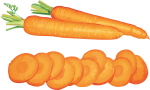 Скачать PNG картинку на прозрачном фоне Две нарисованные морковки с нарезанными кусочками