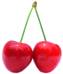 Скачать PNG картинку на прозрачном фоне Две спелые ягоды черешни на одной ветке