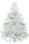 Скачать PNG картинку на прозрачном фоне елка, белая, нарисованная