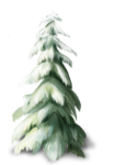 Скачать PNG картинку на прозрачном фоне елка, нарисованная, под снегом, из мультфильм