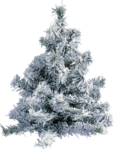Скачать PNG картинку на прозрачном фоне елка, небольшая, пушистая, снег