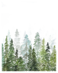 Скачать PNG картинку на прозрачном фоне Иллюстрация, елки в лесу