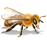 Скачать PNG картинку на прозрачном фоне Картинка, нарисованная пчела, вид сбоку