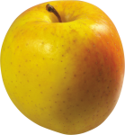 Скачать PNG картинку на прозрачном фоне Красно-желтое яблоко, вид сбоку