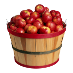 Скачать PNG картинку на прозрачном фоне Красно-желтые яблоки в деревянном ведерке