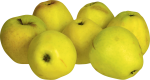 Скачать PNG картинку на прозрачном фоне Куча желтых яблок рядом