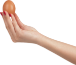 Скачать PNG картинку на прозрачном фоне Куриное яйцо в женской руке