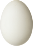 Скачать PNG картинку на прозрачном фоне Куриное яйцо, вид сбоку