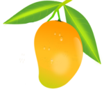 Скачать PNG картинку на прозрачном фоне mango_PNG9180