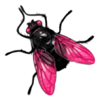 Скачать PNG картинку на прозрачном фоне Муха нарисованная с розовыми крыльями