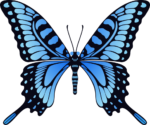 Скачать PNG картинку на прозрачном фоне Нарисованная, черно-гоолубая бабочка, с большими крыльями