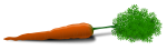 Скачать PNG картинку на прозрачном фоне Нарисованная морковка с ботвой, вид сбоку