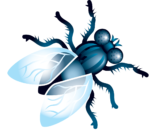 Скачать PNG картинку на прозрачном фоне Нарисованная синяя муха, вид сверху, картинка