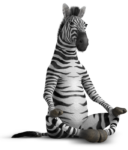 Скачать PNG картинку на прозрачном фоне Нарисованная зебра сидит, медитирует