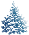 Скачать PNG картинку на прозрачном фоне нарисованная,заснеженная елка, со снегом на ветках