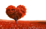 Скачать PNG картинку на прозрачном фоне Нарисованное дерево в виде сердца