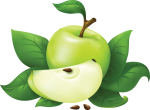Скачать PNG картинку на прозрачном фоне Нарисованное зеленое яблоко с долькой лежат на листьях