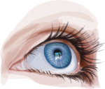 Скачать PNG картинку на прозрачном фоне Нарисованный глаз, женский, смотрит вверх