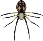 Скачать PNG картинку на прозрачном фоне Нарисованный пятнистый паук, вид сверху