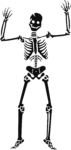Скачать PNG картинку на прозрачном фоне Нарисованный скелет, вид спереди