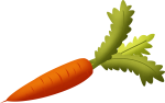 Скачать PNG картинку на прозрачном фоне Нарсованная морковка с ботвой