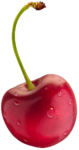 Скачать PNG картинку на прозрачном фоне Одна сочная спелая, красная, ягода черешни