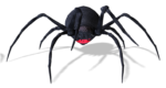 Скачать PNG картинку на прозрачном фоне паук каракурт, рисунок, с красным пятном