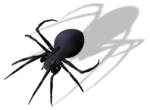 Скачать PNG картинку на прозрачном фоне паук каракурт, вид сверху, черный, с тенью,