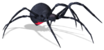 Скачать PNG картинку на прозрачном фоне паук каракурт,сбоку, черный, красное пятно