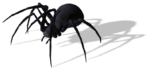 Скачать PNG картинку на прозрачном фоне паук,идет влево, черный, с тенью
