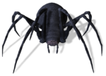 Скачать PNG картинку на прозрачном фоне паук,вид спереди, черный, нарисованный