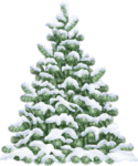 Скачать PNG картинку на прозрачном фоне Под снегом нарисованная елка