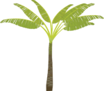 Скачать PNG картинку на прозрачном фоне Простая нарисованная пальма